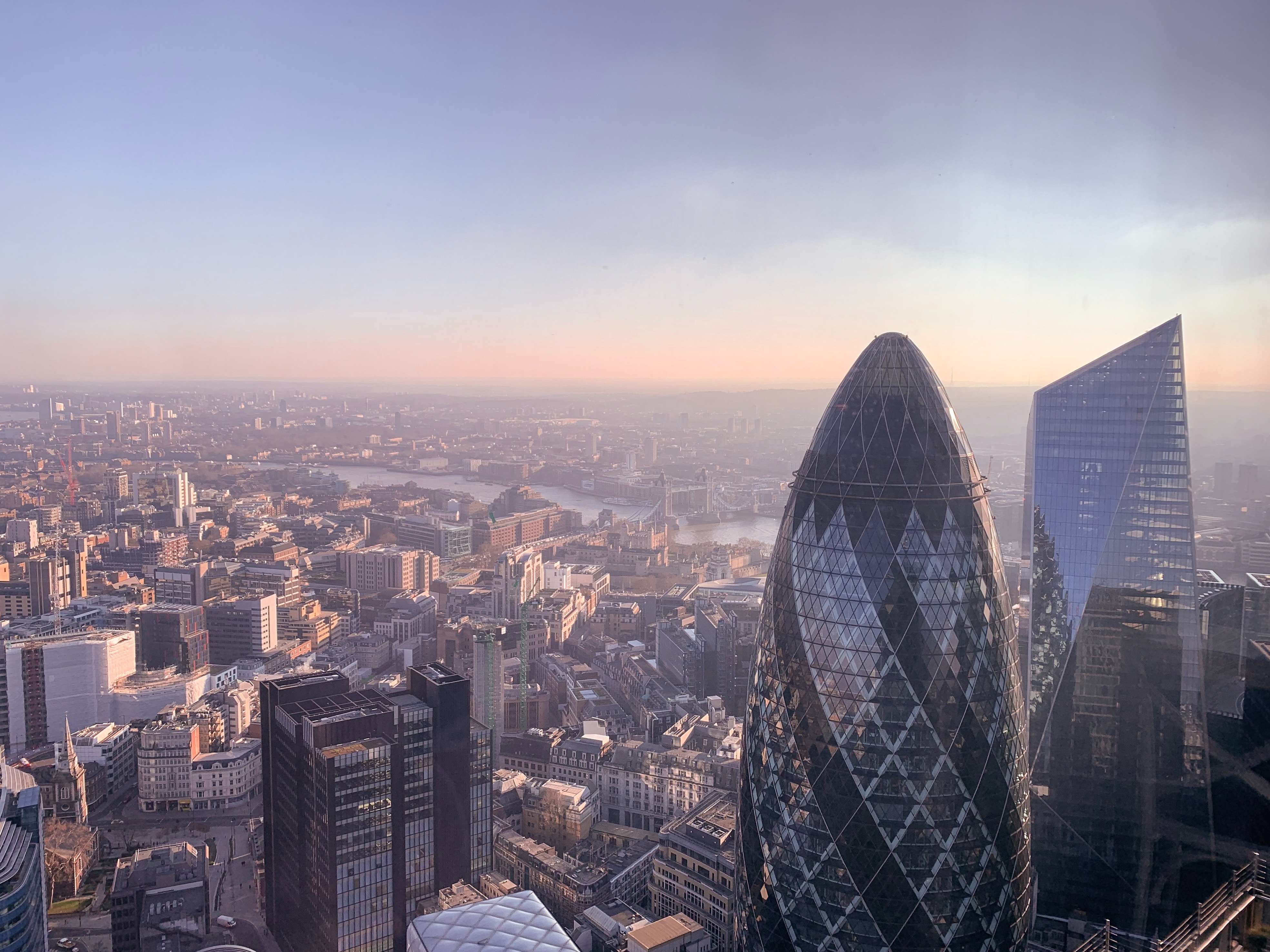 Mitigating fraud in financial institutions